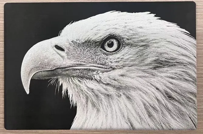 Aquila incisa in fotografia su una lastra in ABS nera