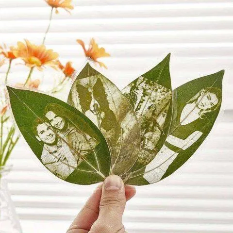 Foglie con fotografie incise