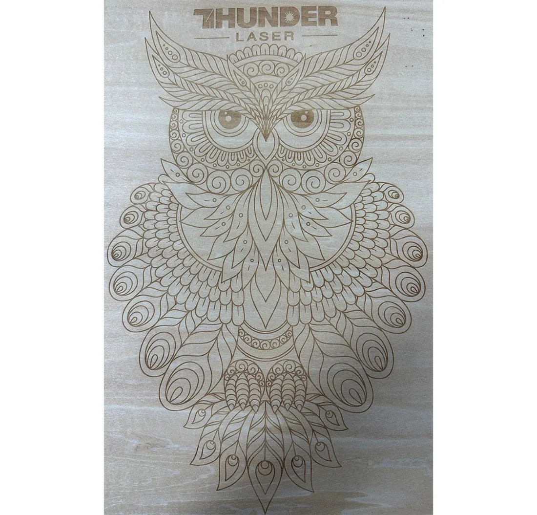 Esempio di lavorazione con LASER CO₂ THUNDER BOLT PRO 36: incisione su tessuto